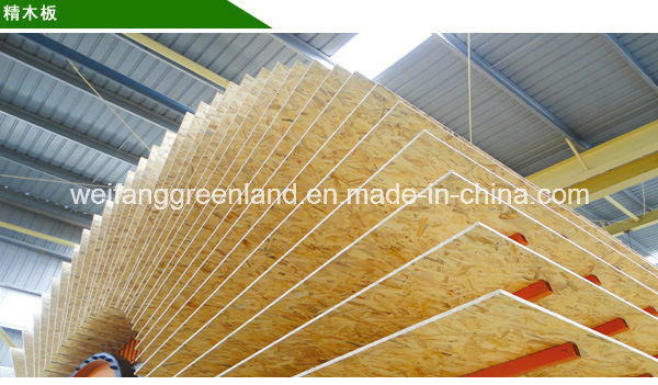 OSB (oriented stand board) Board for Construction Usage