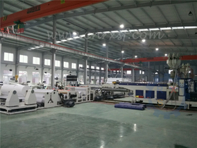 прокатывать и лакировочная машина штрангя-прессовани 2700mm double-sided для сплетенных PP