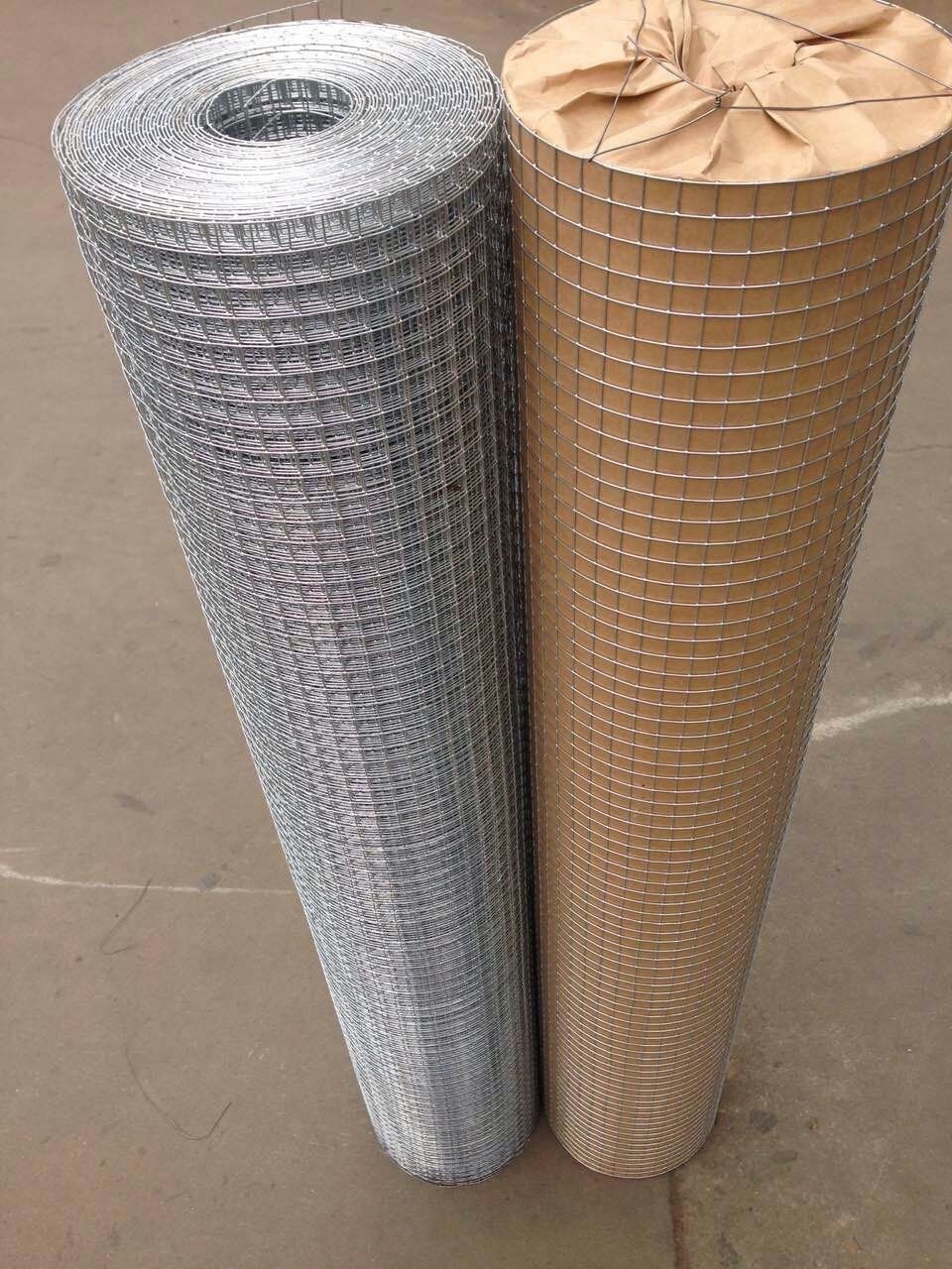 1/4 inch hot dipped galvanized welded wire mesh with cheap price