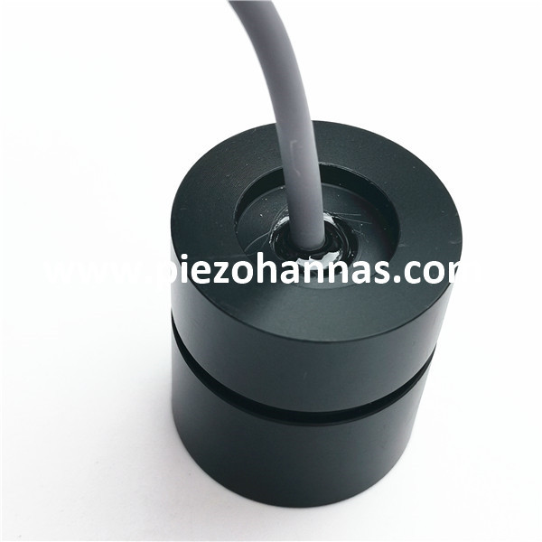 Carcasa de aleación de titanio Insertado Tipo Transductor ultrasónico para caudalímetro ultrasónico