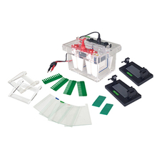 Mini-Protean Electrophoresis Cell FSF-SCZ4+