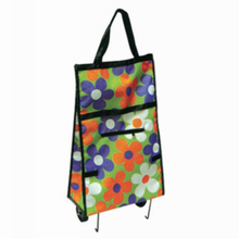 Foldable Shopping Bag (FBG09-015)