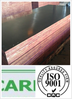 Shuttering Plywood Poplar Core WBP Glue (HB120)