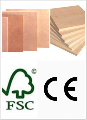 E1 Glue Commercial Plywood Bingtangor Face Poplar Core