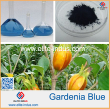 Gardenia Blue