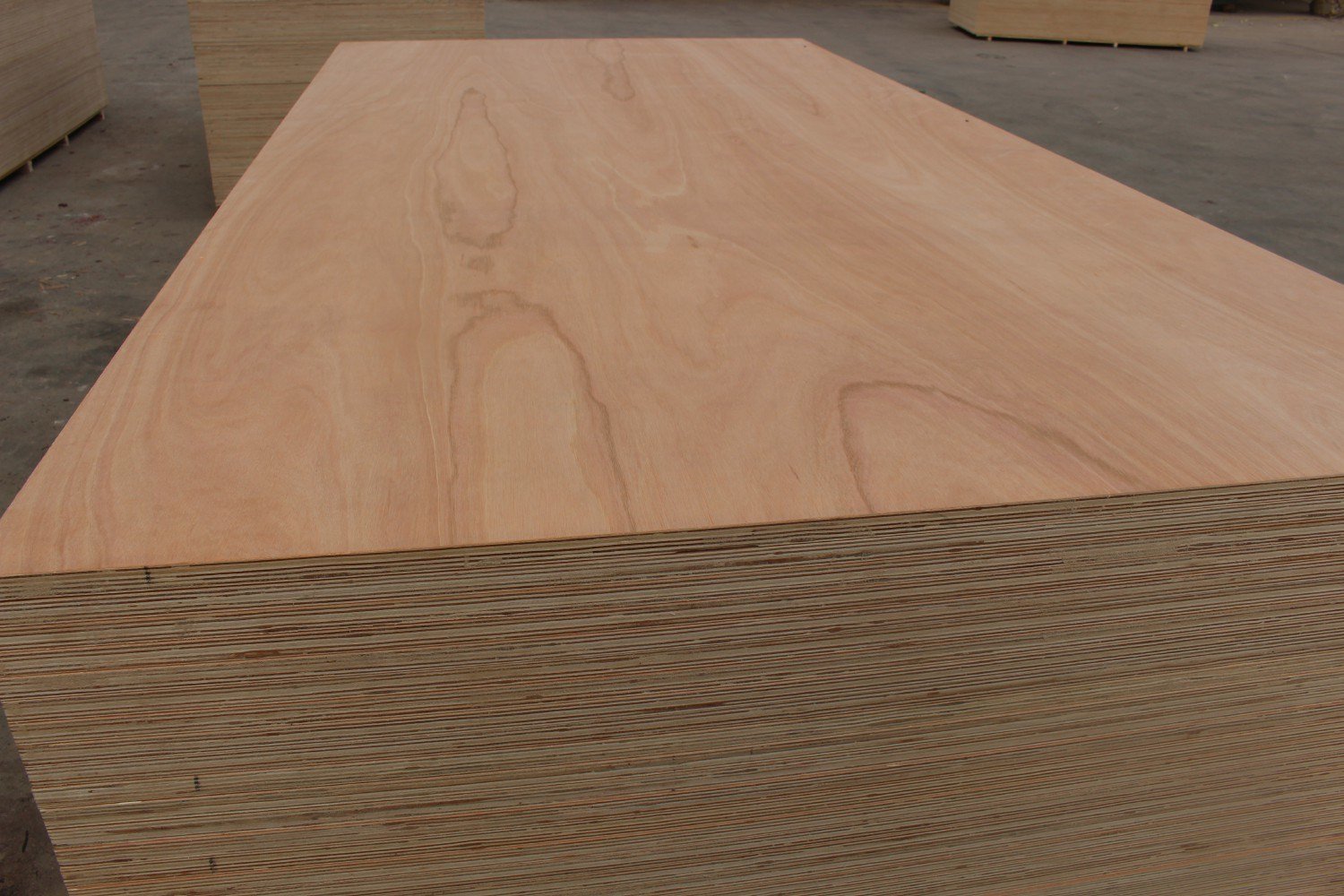 Laminated Plywood for Furnitures Bb Grade