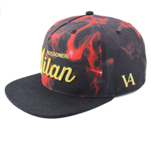 snapback hat