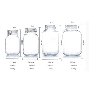 Glass Airtight Container