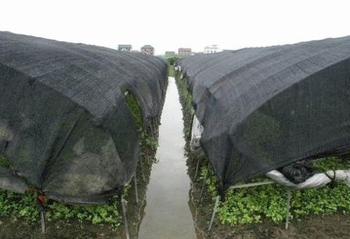The Related Knowledge of Waterproof Shade Net