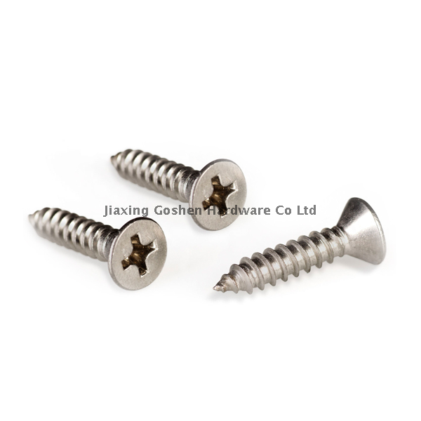 1/4 غير القابل للصدأ الصلب الذاتي التنصت المسامير غاطسة fastenal