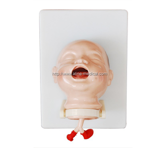 The Model of Newborn Intubation