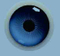 Cámara retinal de calidad superior del equipo oftálmico de China China