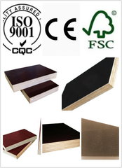 High Quality Tego Plywood Dynea Film WBP Glue Poplar Core (HBT009)