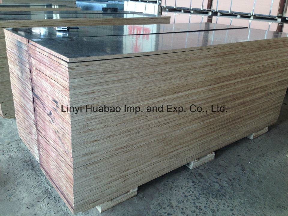 Birch Core Plywood 20*610*2500mm to Israle Port