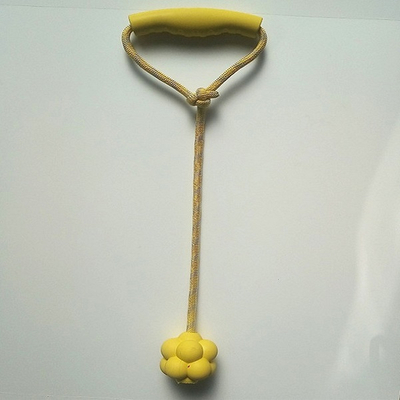 Pet Dog Toy with Play Ball