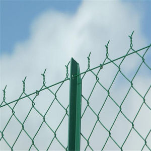 Hot Dipped Galvanized Chain Link Fence Used for Garden