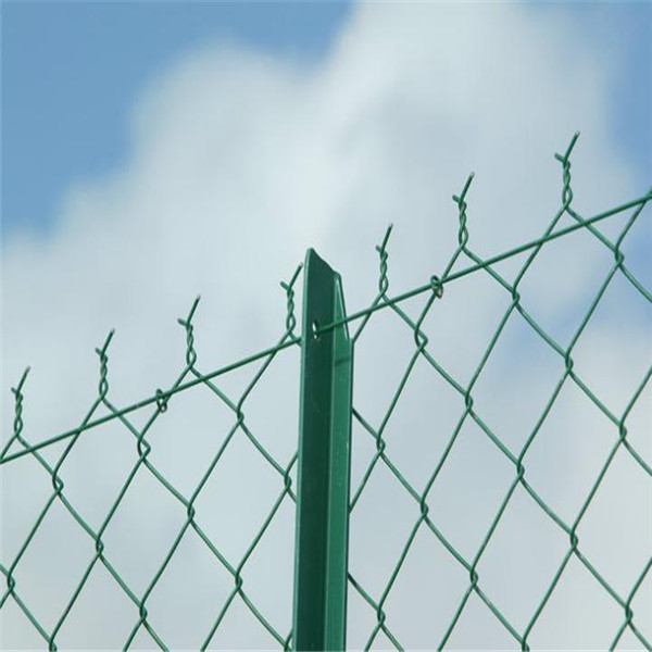 PVC Coated Chain Link Fence/Hot Dipped Galvanized Chain Link Fence for Stadium
