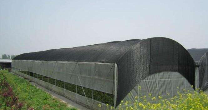 The Importance of Waterproof Shade Net in Agriculture 