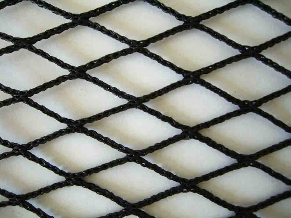 Fishing Net
