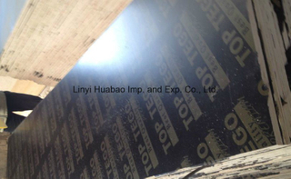 Shuttering Plywood/Marine Plywood Poplar Core for Concrete Usages