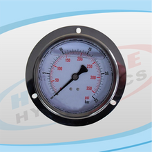 PG100 Series Stainless Pressure Gauge