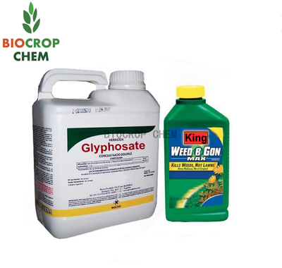 Glyphosate (1071-83-6) 95% TC, 480g/L AS
