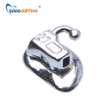 2do tubo bucal unable molar