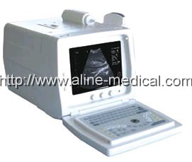 Portable ultrasound scanner