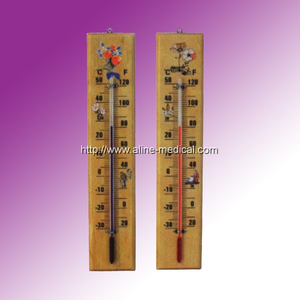 Family Thermometer