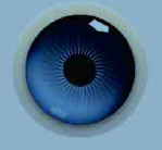 APS-A Cámara de retina para equipos oftalmológicos de alta calidad en China