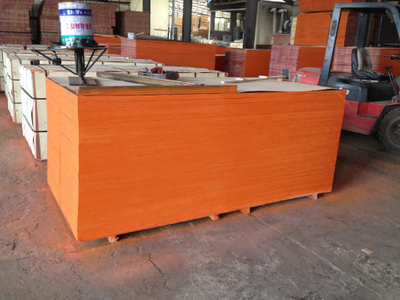 SGS Tested Film Faced Plywood