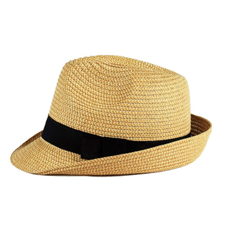 Fashion Fedora Straw hat