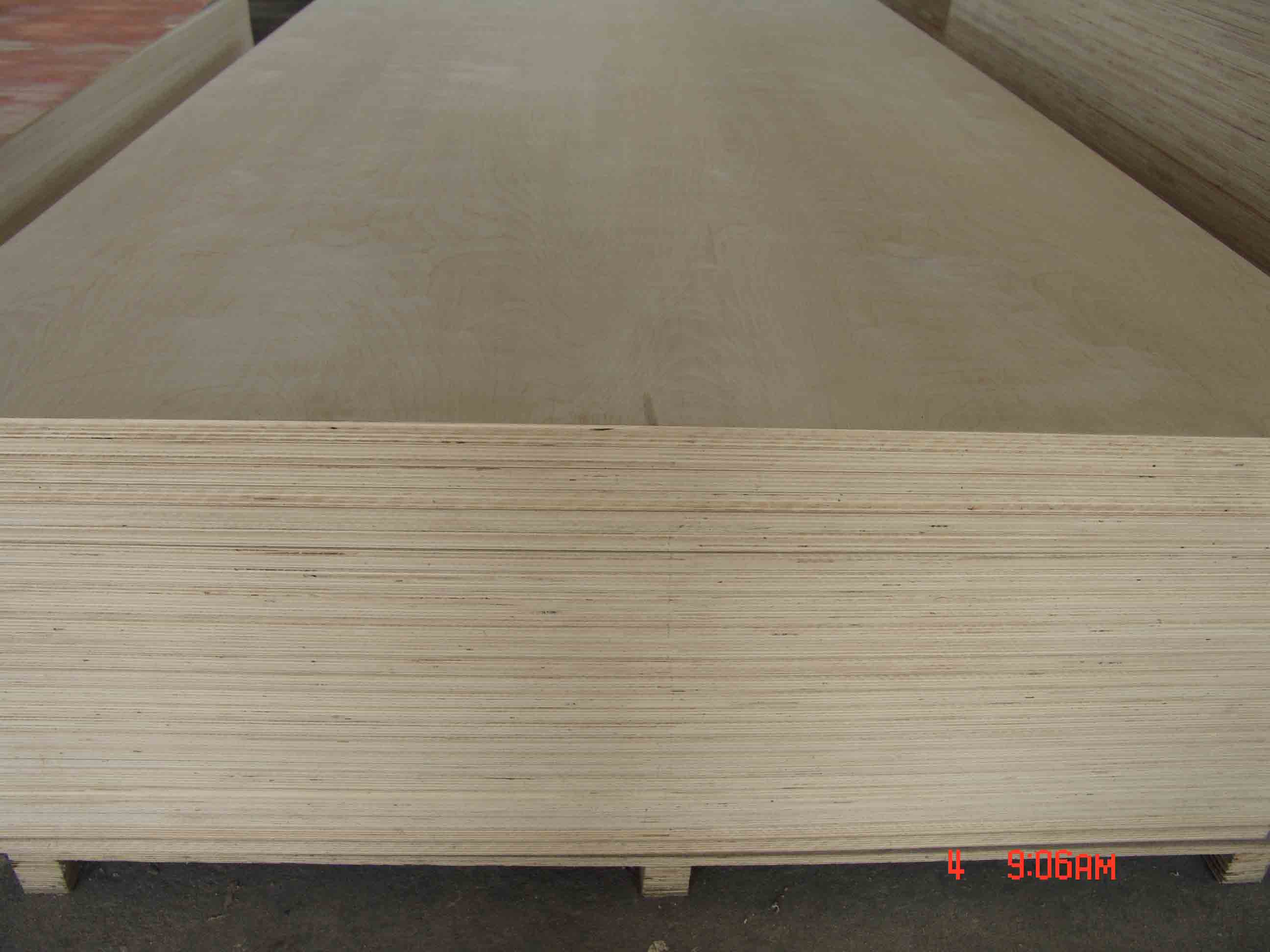 birch plywood