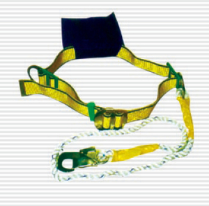 Waist Safety harness for body protection