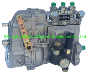 2232436KY 10400873004 BYC fuel injection pump for Deutz F3L912 38KW ...