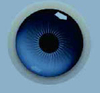 APS-B China Ophthalmic Equipment Non-Mydriatic Fundus Camera with Fluorescein Angiography Function