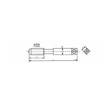 DIN352 Sprial Flute Kurze Maschinengewindebohrer