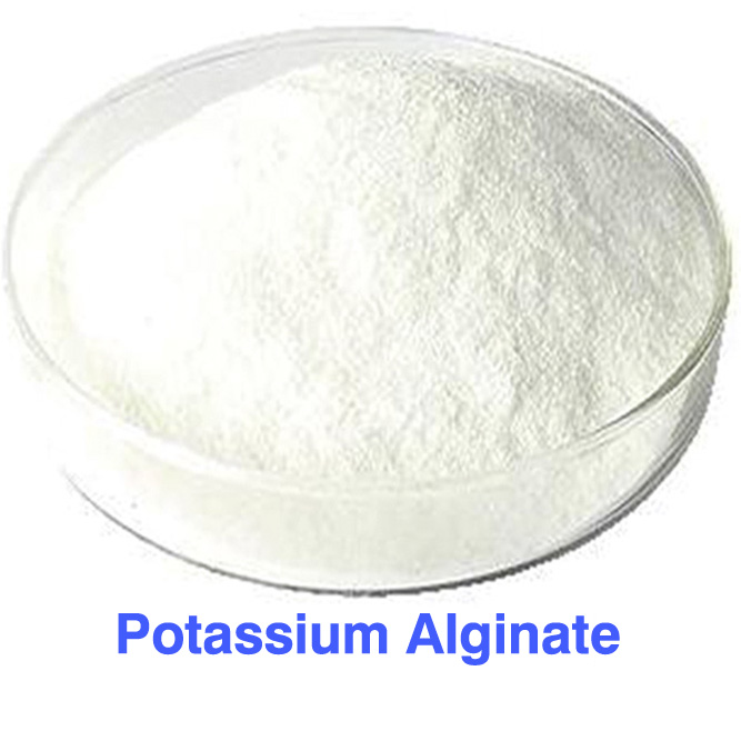 Alginate de potassium