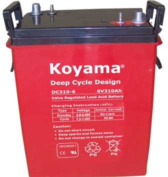 Deep Cycle AGM Battery 