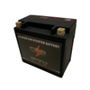 12V 3ah Lithium Lon Battery Electric Motorcycle Battery LiFePO4 Battery Pack LFP14-BS