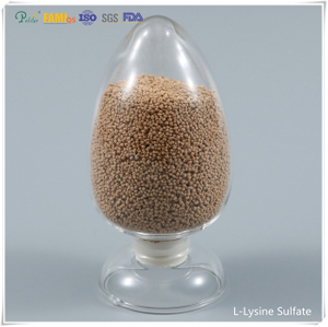 Sulfato de lisina aditiva de alimentación 70% Grado de alimentación