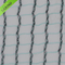 100% nuevo HDPE 31G / M2 verde y negro Olive Harvest Net
