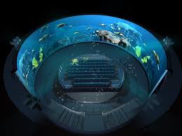 Large Curved Projection Screen for Flight Simulator System