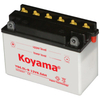 Conventional Motorcycle Battery 