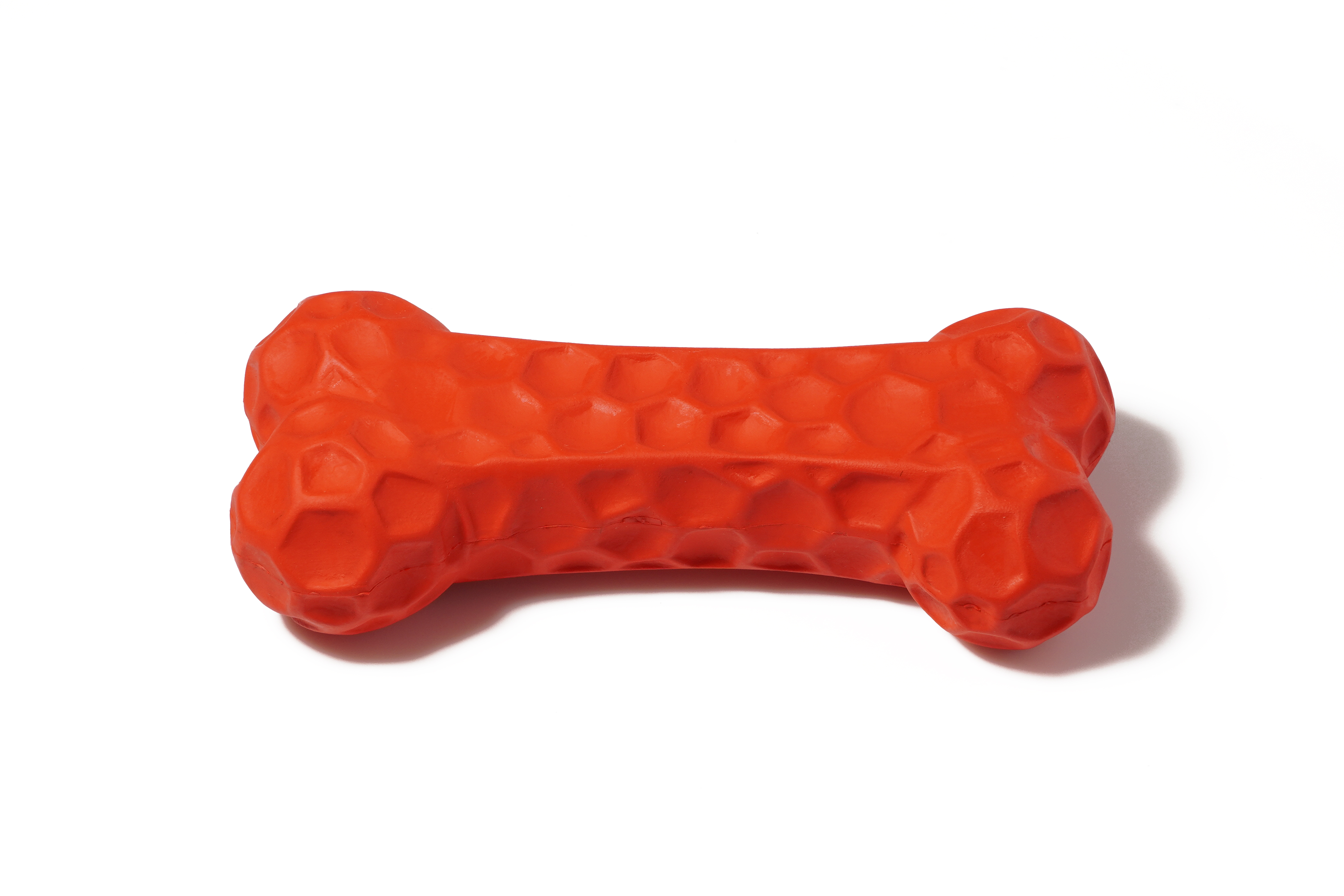 rubber dog toy