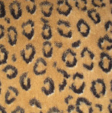 New Style PV Plush Sofa Fabric