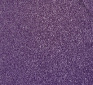 Single Jersey Polyester Fabric for Swimwear