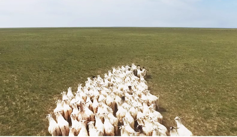 O1CN01O0MbTM1l6FpOySpT6_!!2260274769