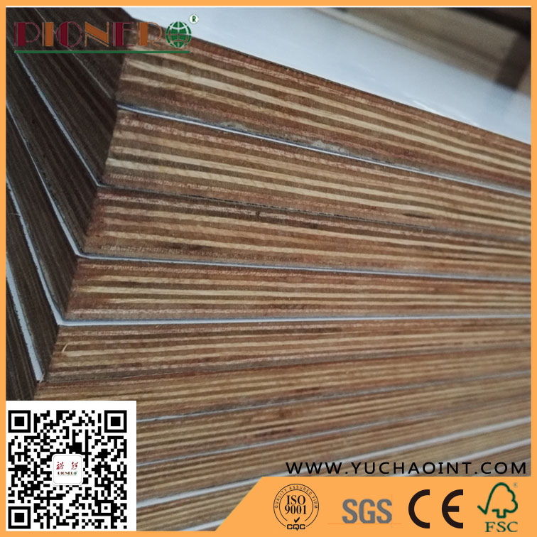  HPL Plywood