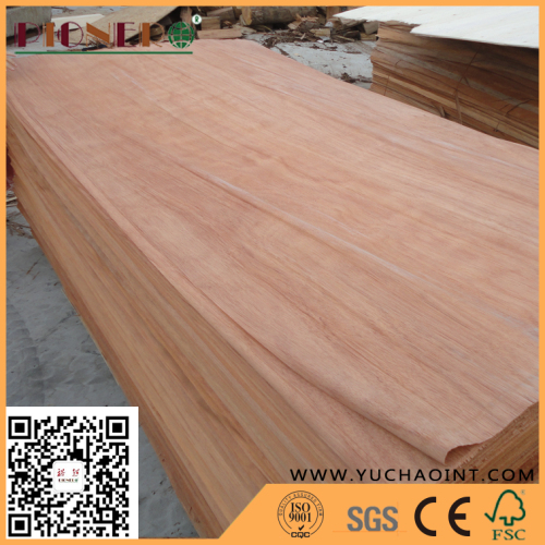 Natural Wood Plb Rotary Cut Veneers